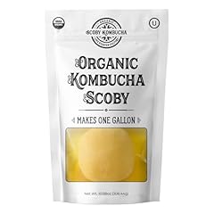 Organic kombucha scoby for sale  Delivered anywhere in USA 