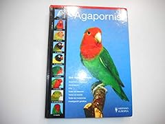 Agapornis lovebird usato  Spedito ovunque in Italia 