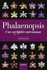 Phalaenopsis orchidée méconn d'occasion  Livré partout en France