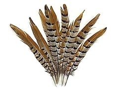 Pheasant feathers natural for sale  Delivered anywhere in USA 