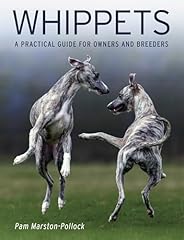 Whippets practical guide for sale  Delivered anywhere in UK