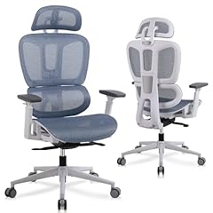 Youhauchair ergonomic office for sale  Delivered anywhere in USA 