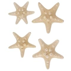 Generic artificial starfish for sale  Delivered anywhere in UK