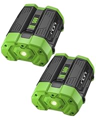 Hochstern 2pack 5.0ah for sale  Delivered anywhere in USA 