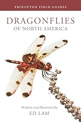 Dragonflies north america d'occasion  Livré partout en France