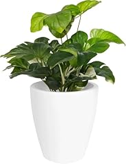 Elly décor inch for sale  Delivered anywhere in USA 