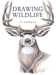 Drawing wildlife for sale  Delivered anywhere in USA 