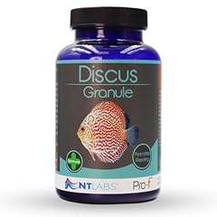 Labs pro discus for sale  Delivered anywhere in UK