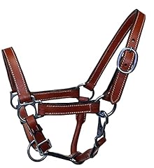 Equitem miniature horse for sale  Delivered anywhere in USA 