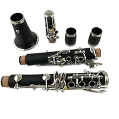 Professional clarinet case for sale  Delivered anywhere in USA 