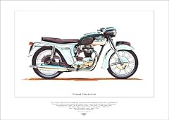 Triumph thunderbird art for sale  Delivered anywhere in UK