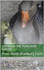 Griselda toulouse goose for sale  Delivered anywhere in UK