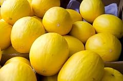 Melon seeds canary for sale  Delivered anywhere in USA 