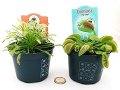 Powers flowers drosera usato  Spedito ovunque in Italia 