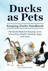 Ducks pets. keeping for sale  Delivered anywhere in UK