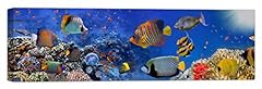 Luxhomedecor quadro acquario usato  Spedito ovunque in Italia 