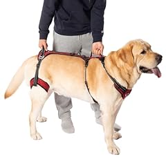 Coodeo mobility dog for sale  Delivered anywhere in UK