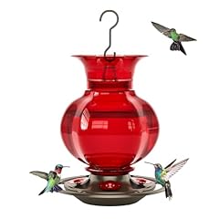 Auslar hummingbird feeder for sale  Delivered anywhere in USA 