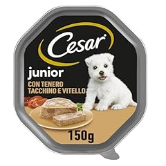 Cesar junior cibo usato  Spedito ovunque in Italia 