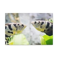 Express love gifts for sale  Delivered anywhere in USA 