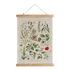 Midefinch botanical vintage for sale  Delivered anywhere in USA 