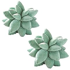 Cepignoly 2pack succulents for sale  Delivered anywhere in USA 