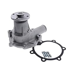 Holdwell pompa acqua usato  Spedito ovunque in Italia 