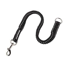 Bungee dog leash for sale  Delivered anywhere in USA 
