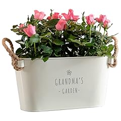 Dust things engraved for sale  Delivered anywhere in UK