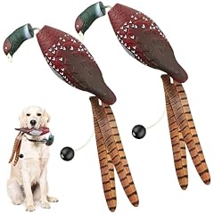 Saillong pack pheasant for sale  Delivered anywhere in USA 