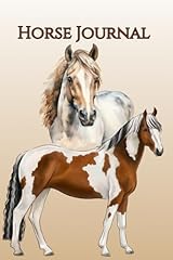 Paint pinto horse for sale  Delivered anywhere in UK
