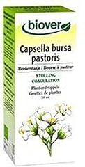 Capsella bursa pastoris d'occasion  Livré partout en France