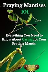 Praying mantises 101 for sale  Delivered anywhere in UK