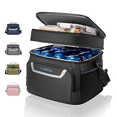 Everfun small cooler for sale  Delivered anywhere in USA 