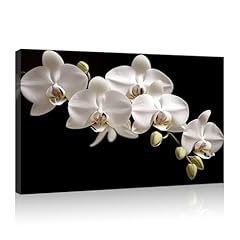 Kplundo orchid canvas for sale  Delivered anywhere in USA 