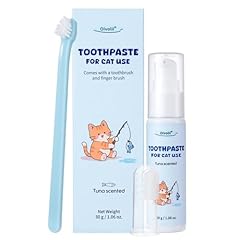 Oivolii kit dentifricio usato  Spedito ovunque in Italia 