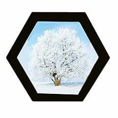 Hexagon shaped photo for sale  Delivered anywhere in USA 