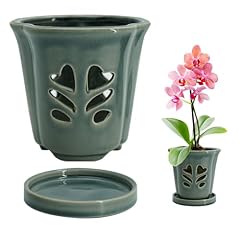 Pavtner inch orchid for sale  Delivered anywhere in USA 