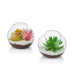Verre air plant d'occasion  Livré partout en France