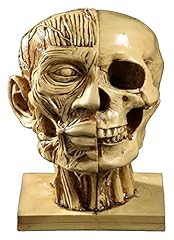 Lqx sculpture tabletop for sale  Delivered anywhere in USA 