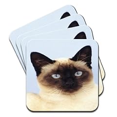 Siamese cat close for sale  Delivered anywhere in UK