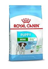 Royal canin mini usato  Spedito ovunque in Italia 