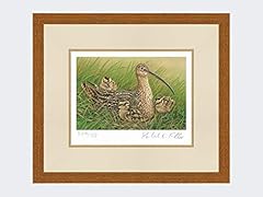 Robert fuller curlew for sale  Delivered anywhere in UK