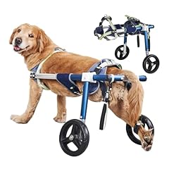 Yurux adjustable dog for sale  Delivered anywhere in USA 