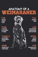 Anatomy weimaraner dogs for sale  Delivered anywhere in Ireland