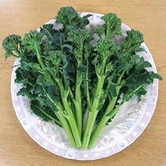 250 brocoli semi usato  Spedito ovunque in Italia 