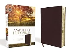 Amplified holy bible for sale  Delivered anywhere in UK