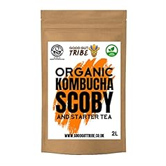 Organic kombucha scoby for sale  Delivered anywhere in UK