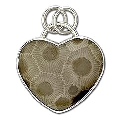 Petoskey stone heart for sale  Delivered anywhere in USA 