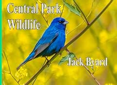 Central park wildlife for sale  Delivered anywhere in UK